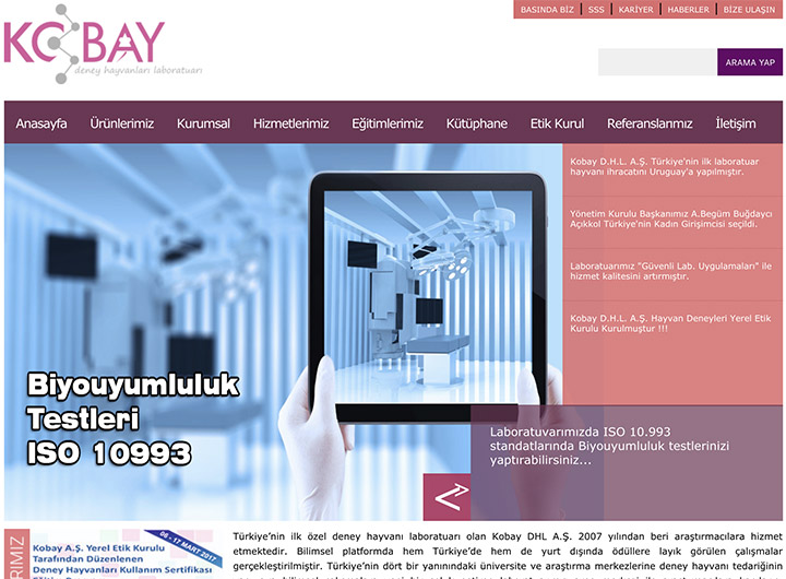 Kobay Web Tasarım Hizmeti